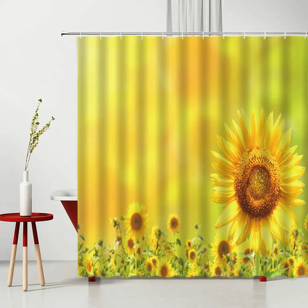 46009150308598|46009150341366|46009150374134|46009150406902|46009150439670|46009150472438|46009150505206