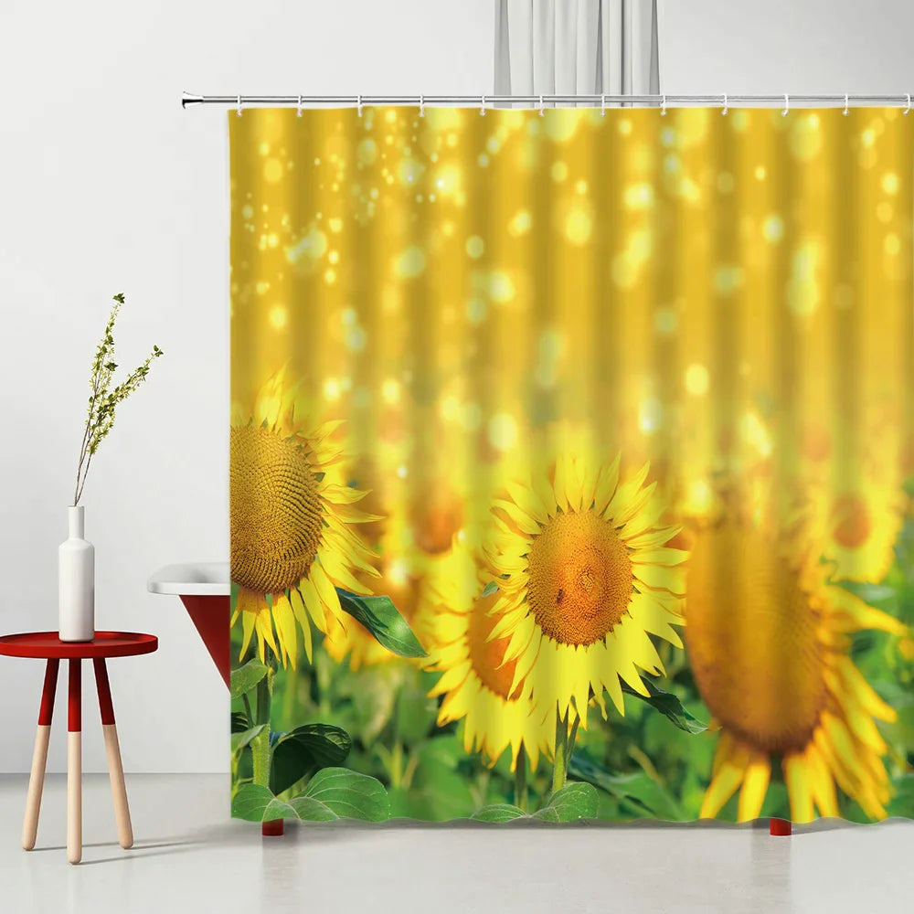 46009150537974|46009150570742|46009150603510|46009150636278|46009150669046|46009150701814|46009150734582